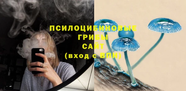 соль ск Вязники
