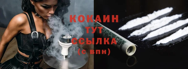 спиды Горняк