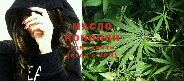 спиды Горняк