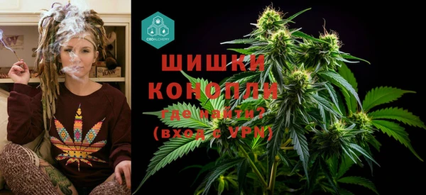 бошки Вязьма